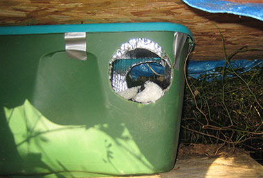 This is a small plastic storage container, completely lined with insulation, including the underside of the lid, and filled with a synthetic blanket. Two 5-inch holes have been cut out at one end.  Although it's best to have a hole at either end, this prevents a cold draft across the cat which will keep it warmer. This will work as long as the cat is using. You can save the cut-outs in case you want to close up a hole and make one at the other end opposite the first one. This one is being used by feral cats in a wooded area surrounded by deep thickets.<br>